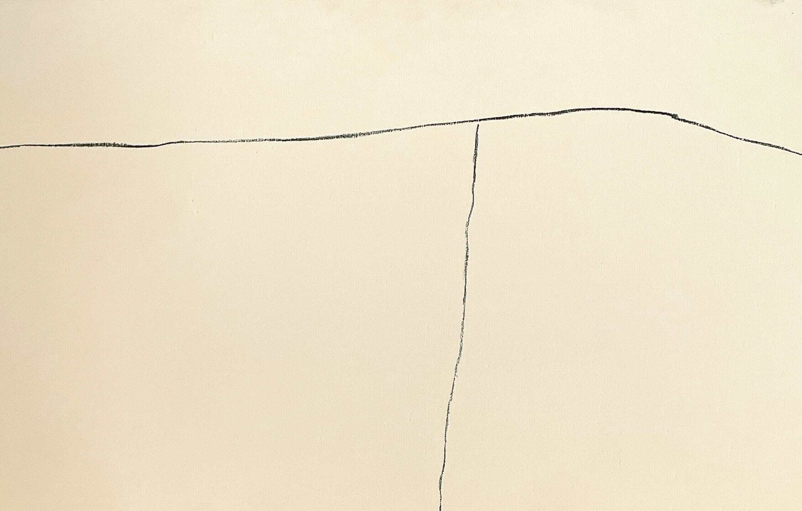 Minimalist abstract drawing with two intersecting black lines